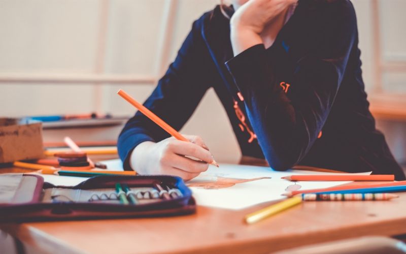 Student Leadership Examples
